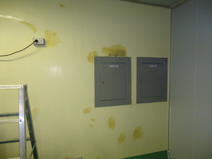 中研院國家實驗動物中心epoxy牆面地板施工 (17)