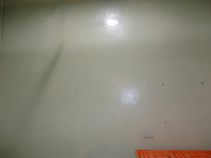 中研院國家實驗動物中心epoxy牆面地板施工 (32)