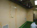 中研院國家實驗動物中心epoxy牆面地板施工 (14)