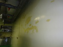 中研院國家實驗動物中心epoxy牆面地板施工 (15)