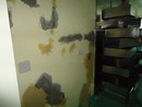 中研院國家實驗動物中心epoxy牆面地板施工 (22)