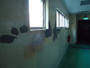 中研院國家實驗動物中心epoxy牆面地板施工 (23)