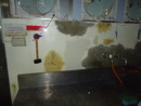中研院國家實驗動物中心epoxy牆面地板施工 (25)