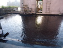 台北屋頂防水施工  (59)